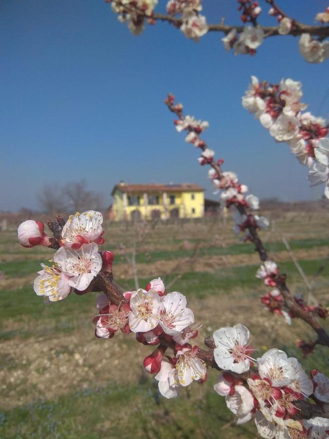 Ferienwohnung La Crosona Colà Exterior foto